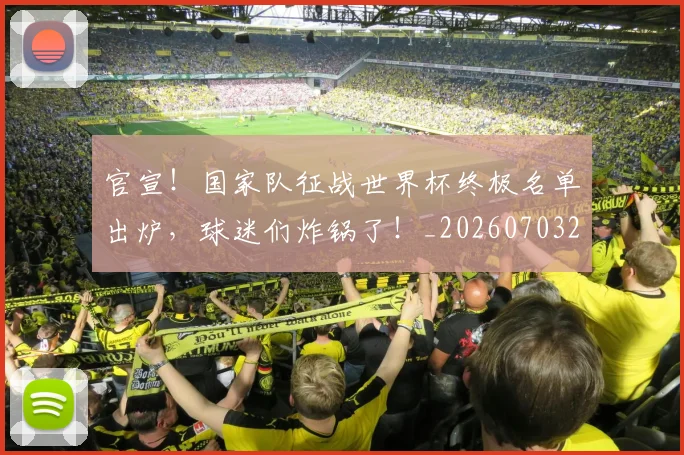 官宣!国家队征战世界杯终极名单出炉,球迷们炸锅了!_20260703233540