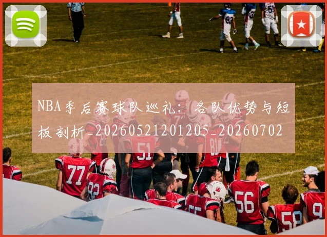 NBA季后赛球队巡礼：各队优势与短板剖析_20260521201205_20260702165424